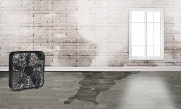 Water damage restoration experts in Prairie Du Chien, WI