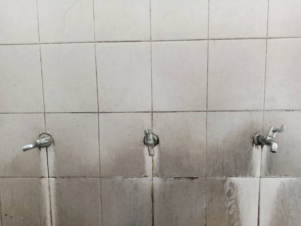 Best Emergency water damage restoration  in Prairie Du Chien, WI