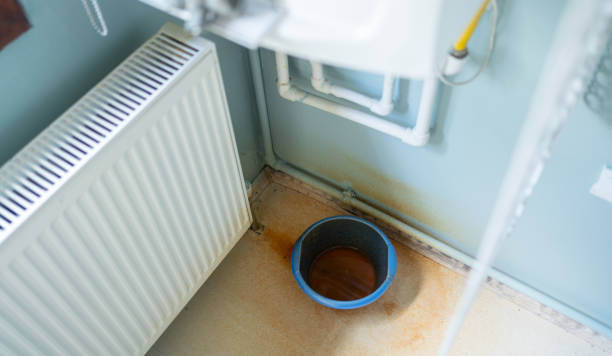 Best Professional water damage repair  in Prairie Du Chien, WI