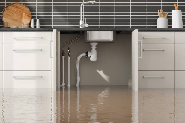 Best Flood restoration services  in Prairie Du Chien, WI