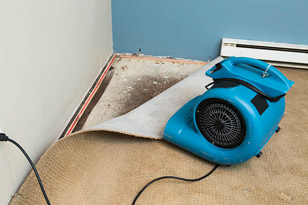  Prairie Du Chien, WI Water damage restoration Pros
